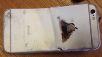 Погнувшийся iPhone 6 загорелся в кармане своего владельца